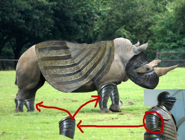 Creation of RhinoForce: Step 4